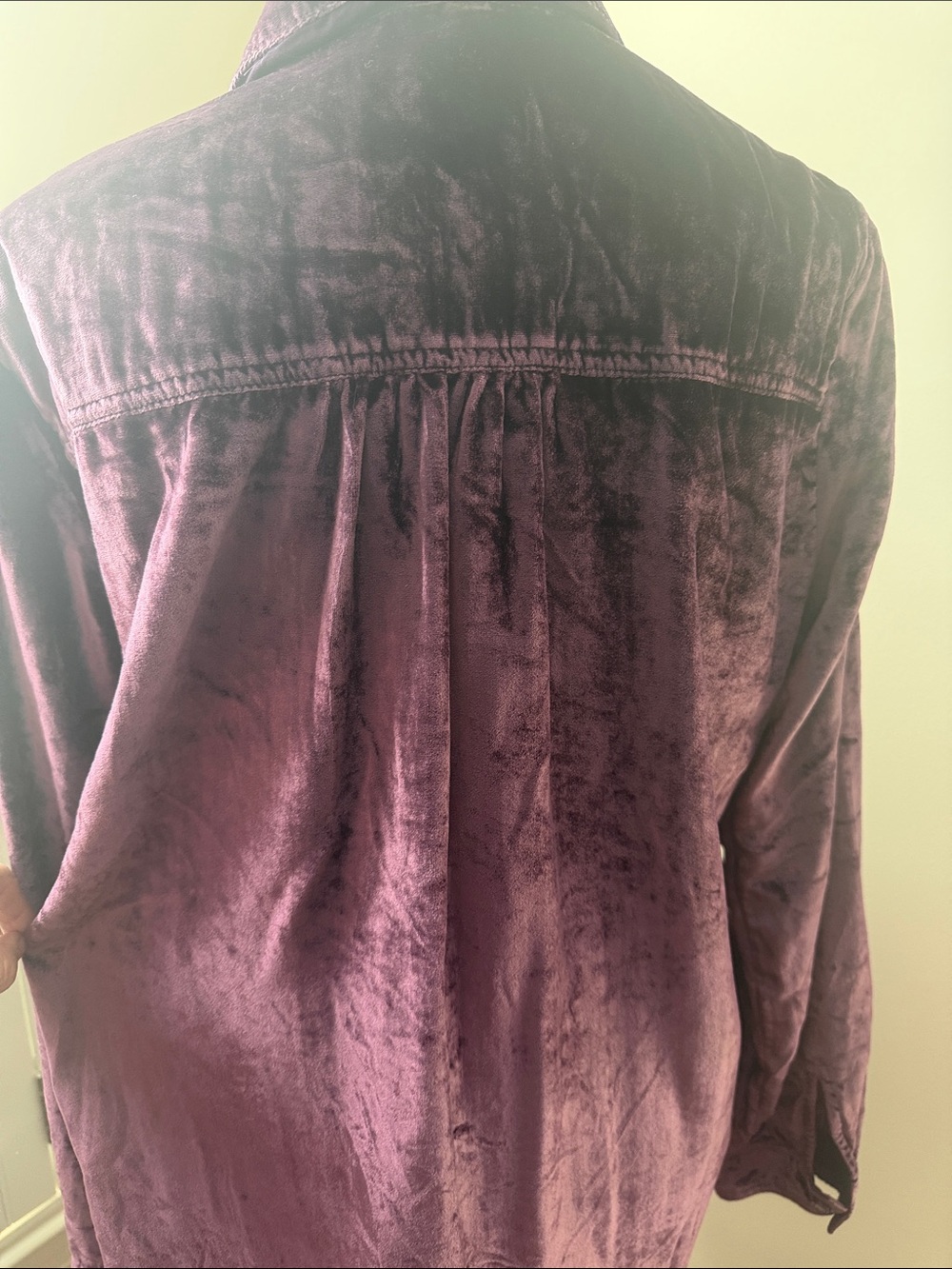 Pilcro Velvet Button-Down Shirt in Deep Purple - Picture 4 of 6
